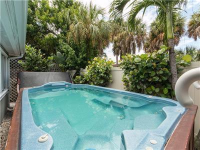 Paradise Palms — Monthly Clearwater Beach