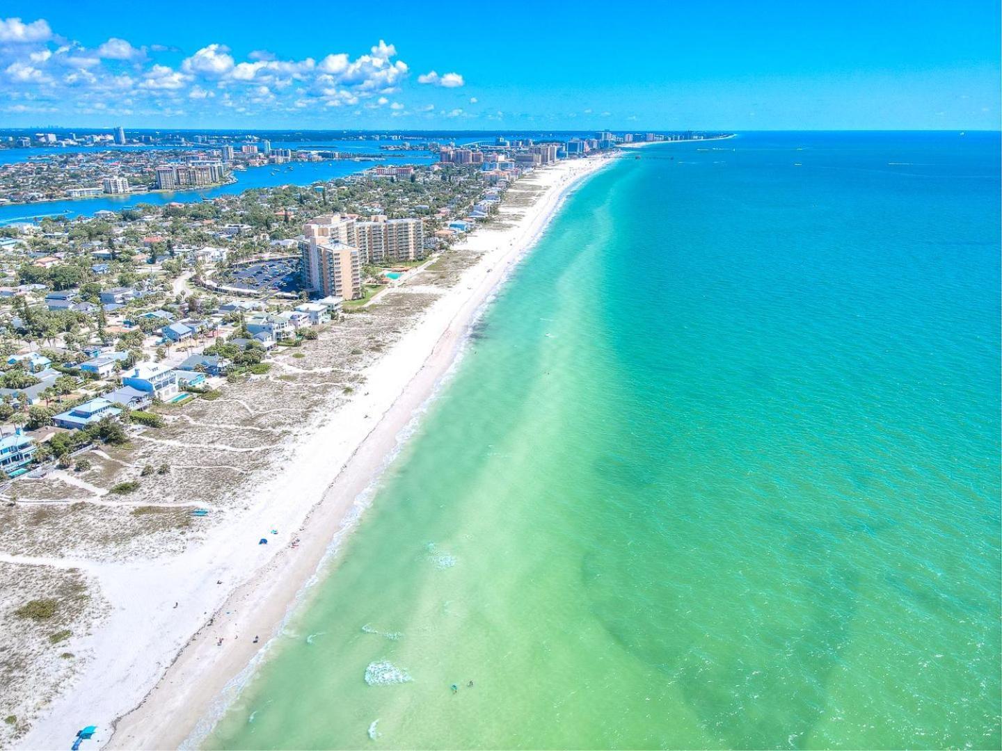 Seahorse Monthly Clearwater Beach