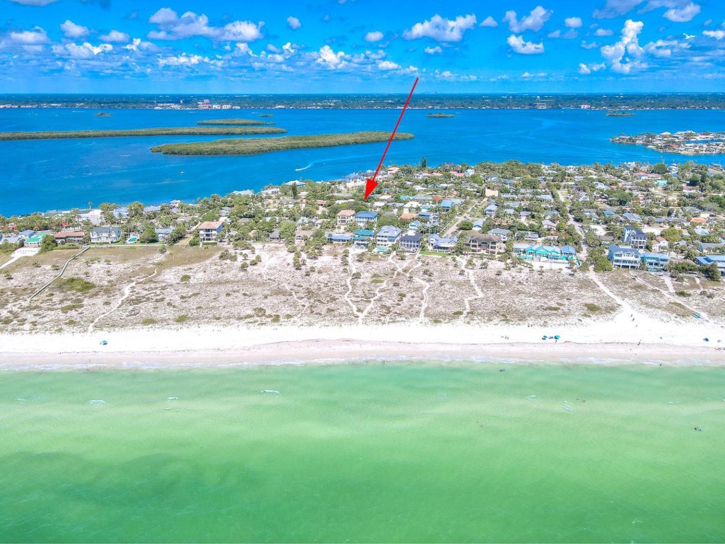 Seahorse Monthly * Clearwater Beach