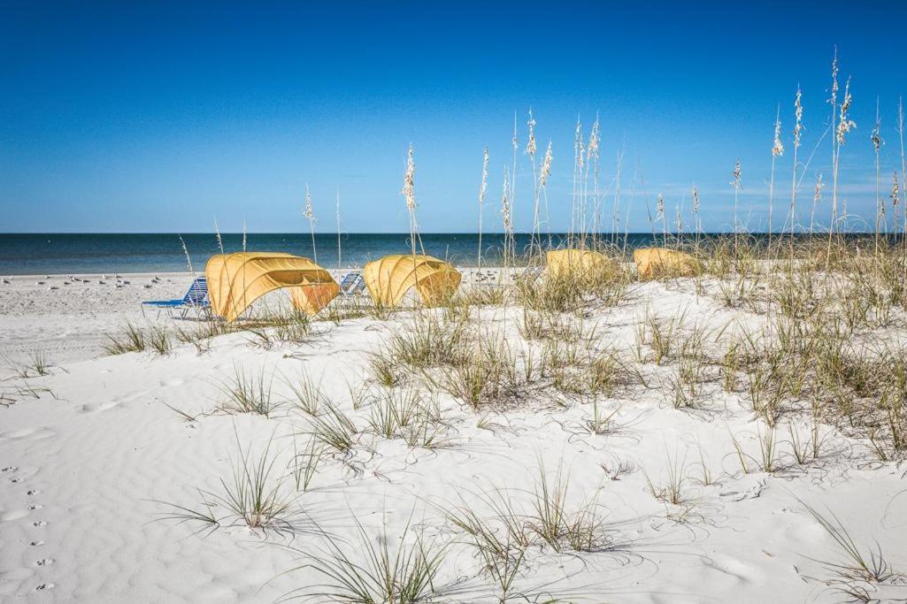 Open - Private Beachfront Home/great For Groups/dogs Ok*