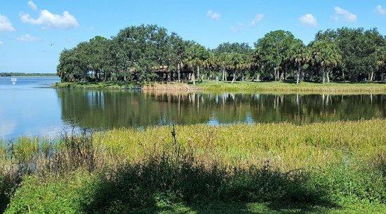 Fully Renovated Indian Rocks Beach Getaway