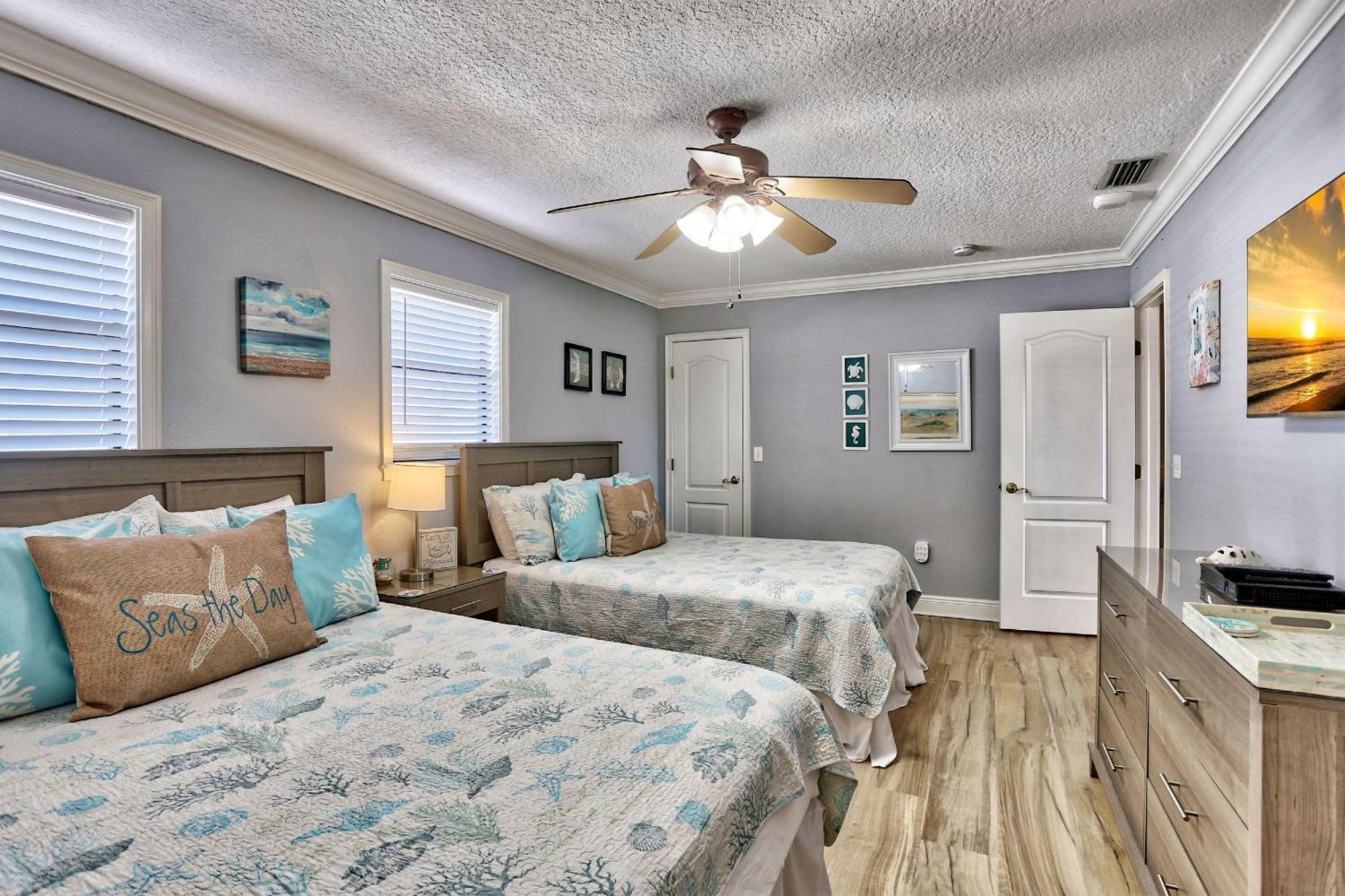 Sea Shell 14 - Premier *