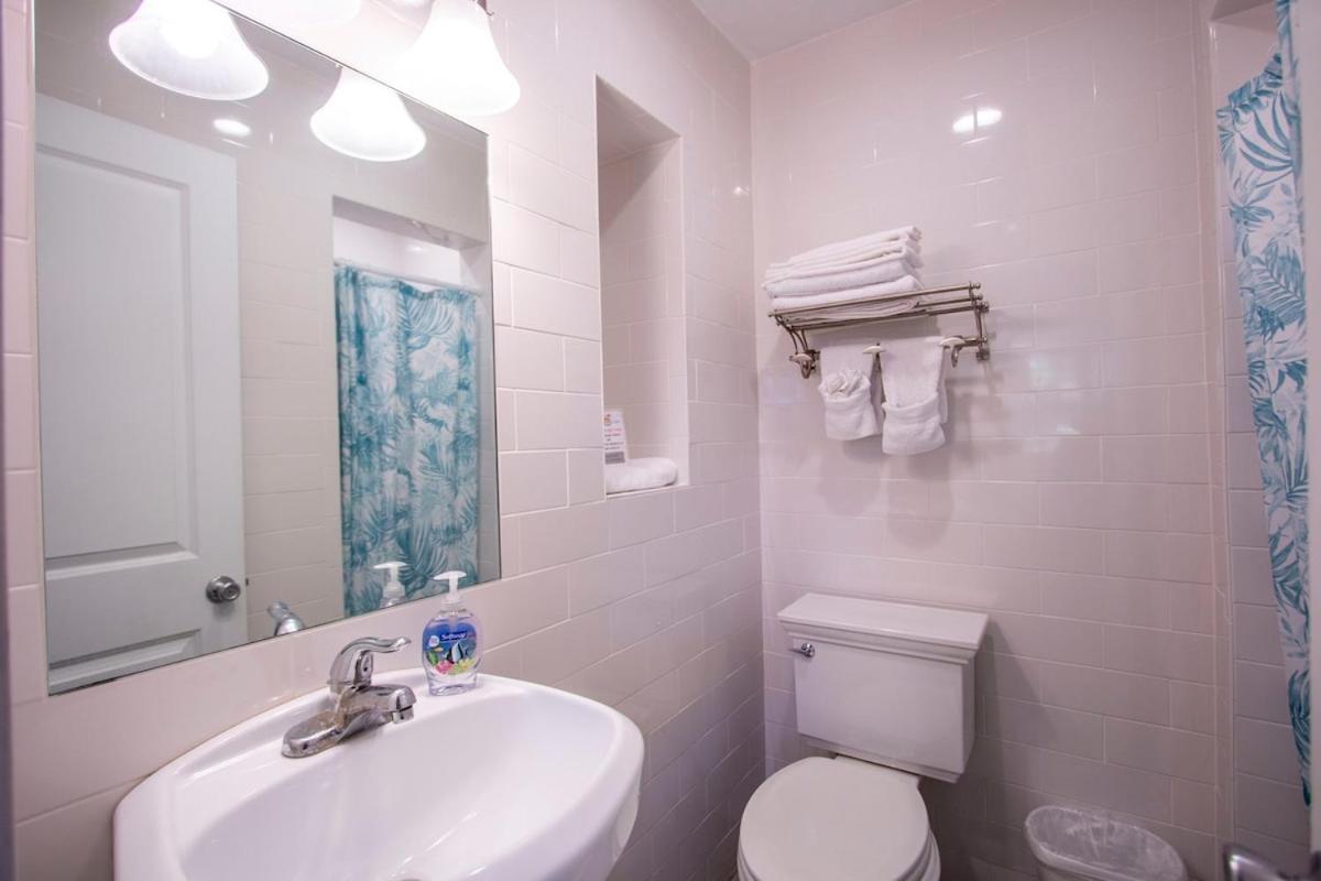Clearwater Oasis Retreat - Entire Clearwater Beach