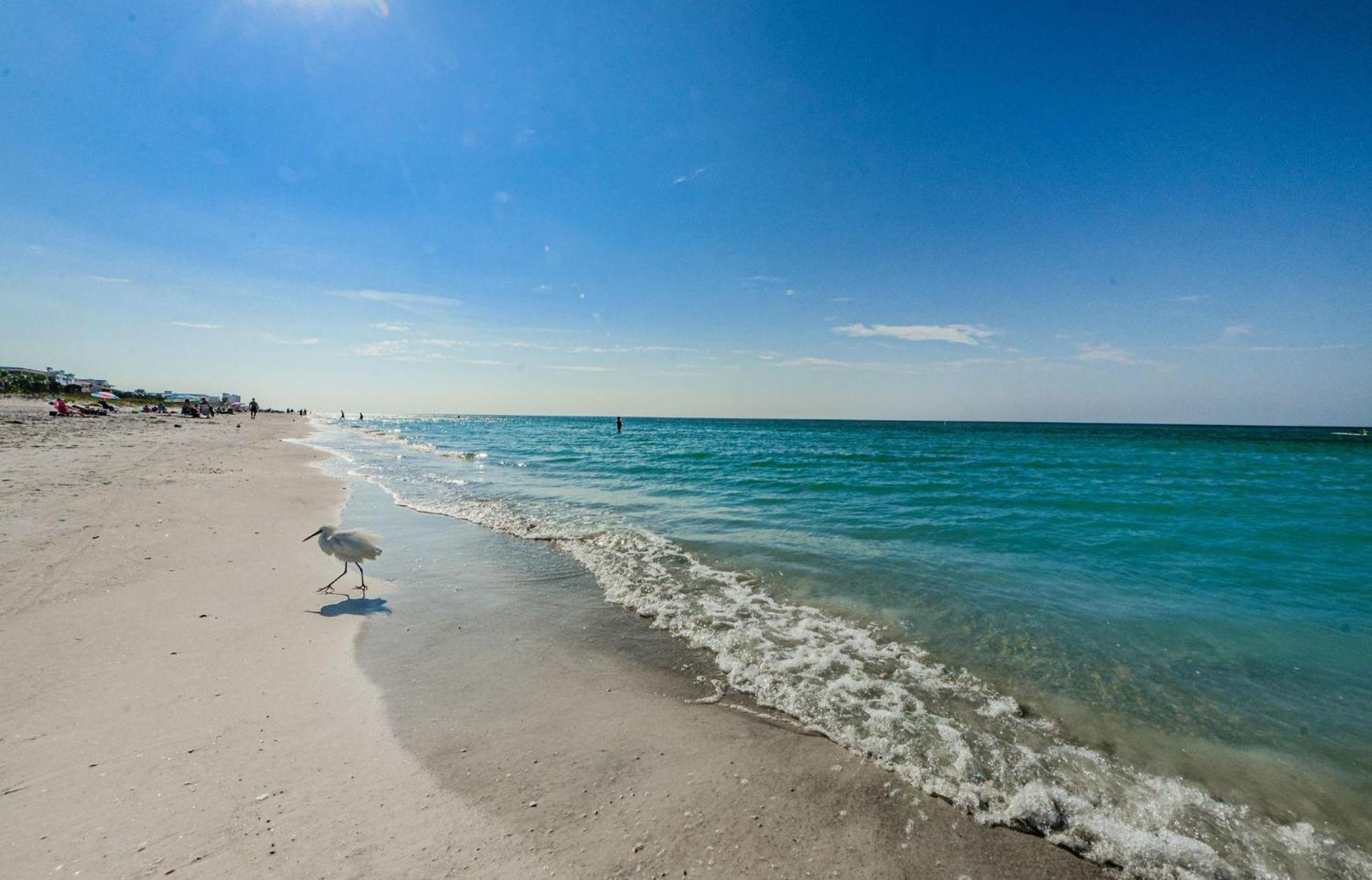 3 Palms Retreat Holiday home Clearwater Beach
