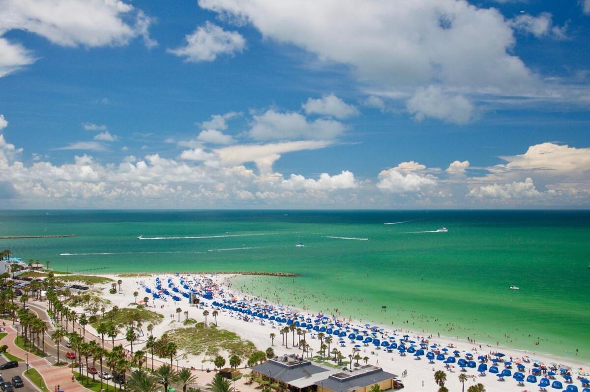 Apartment Beachside I Stunning Views Walk Everywhere