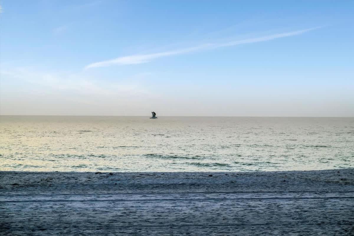 Apartment Stones Throw Beachfront Family #3 Views *