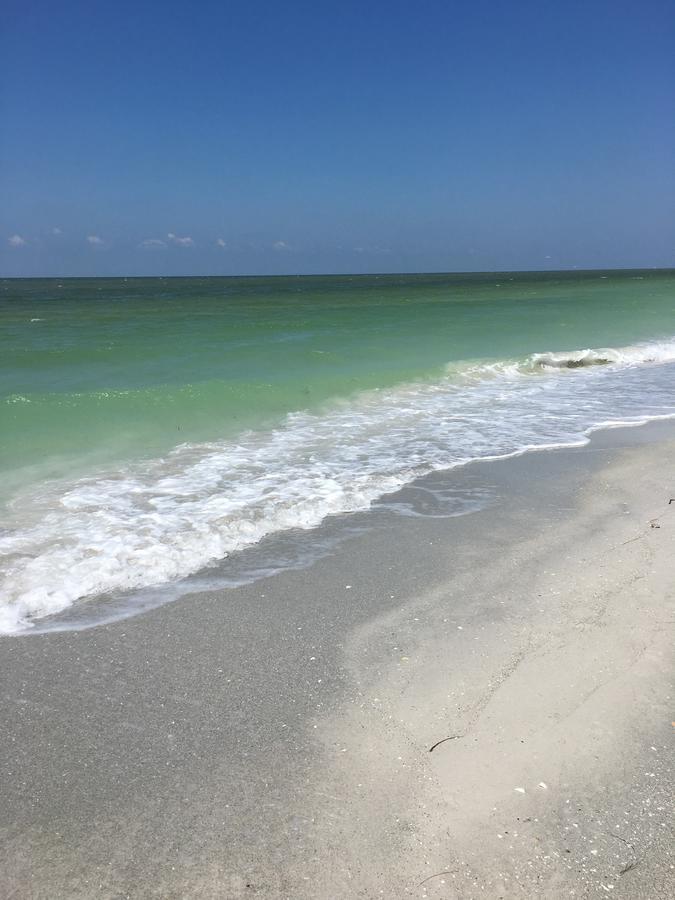 Apartment Joyce's Beachfront 3 Clearwater Beach