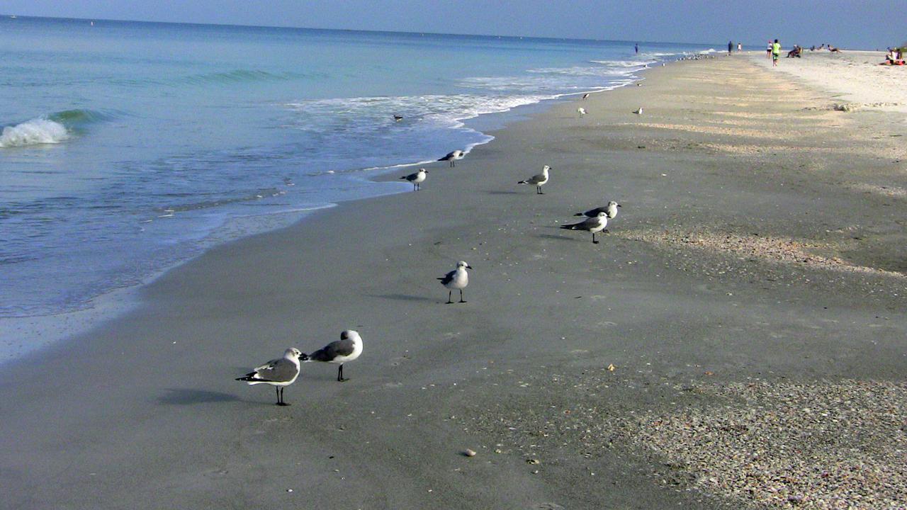 Salt And Sand Vacation Cottages * Clearwater Beach