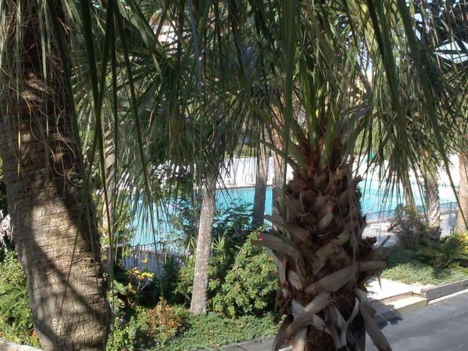 Apartment Beach Getaway Iii At Belleview Clearwater Beach