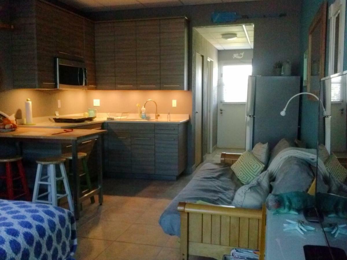 Apartment Beach Getaway Ii At Belleview, Indian Shores, Fl *