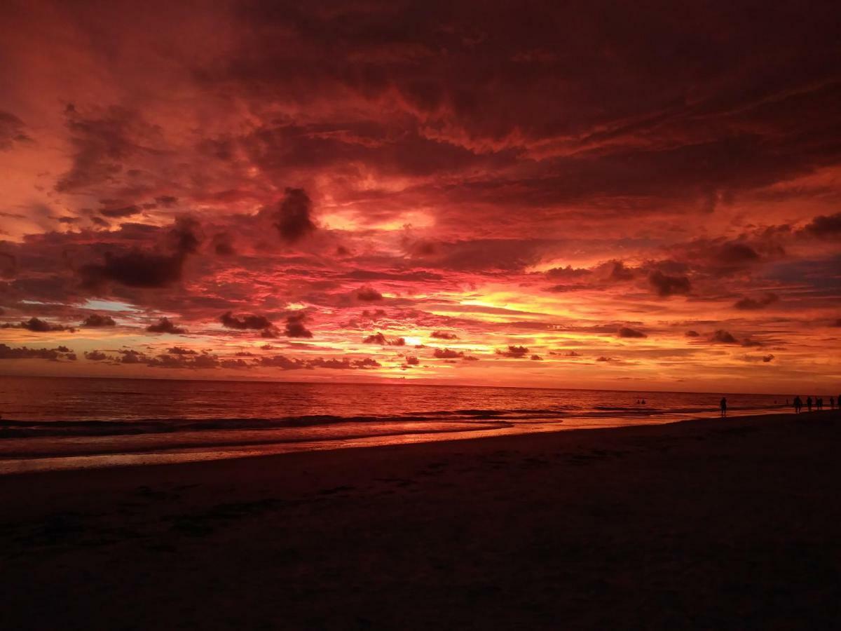 Beach Getaway Ii At Belleview, Indian Shores, Fl * Clearwater Beach