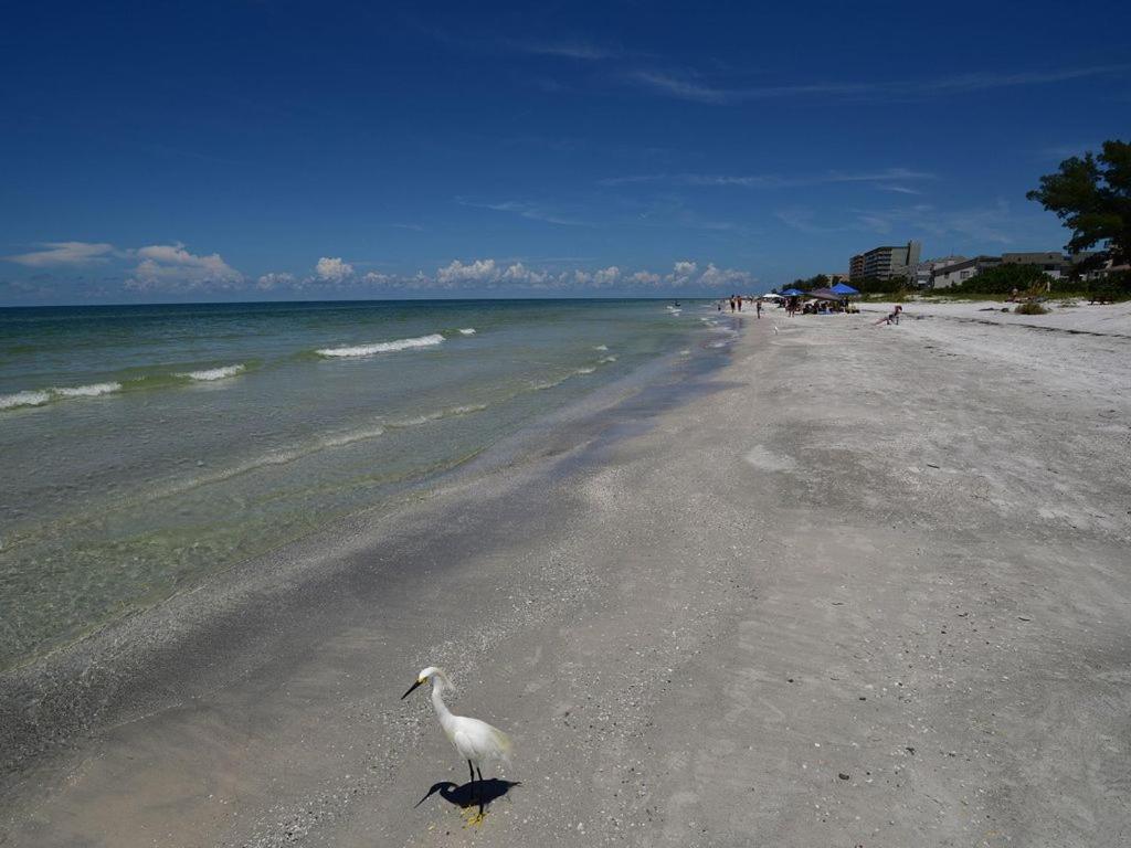 Gulf Retreat 2: Magnificent Water Views, Steps To Beach, None Cleaner, None Nicer! Apartment Clearwater Beach