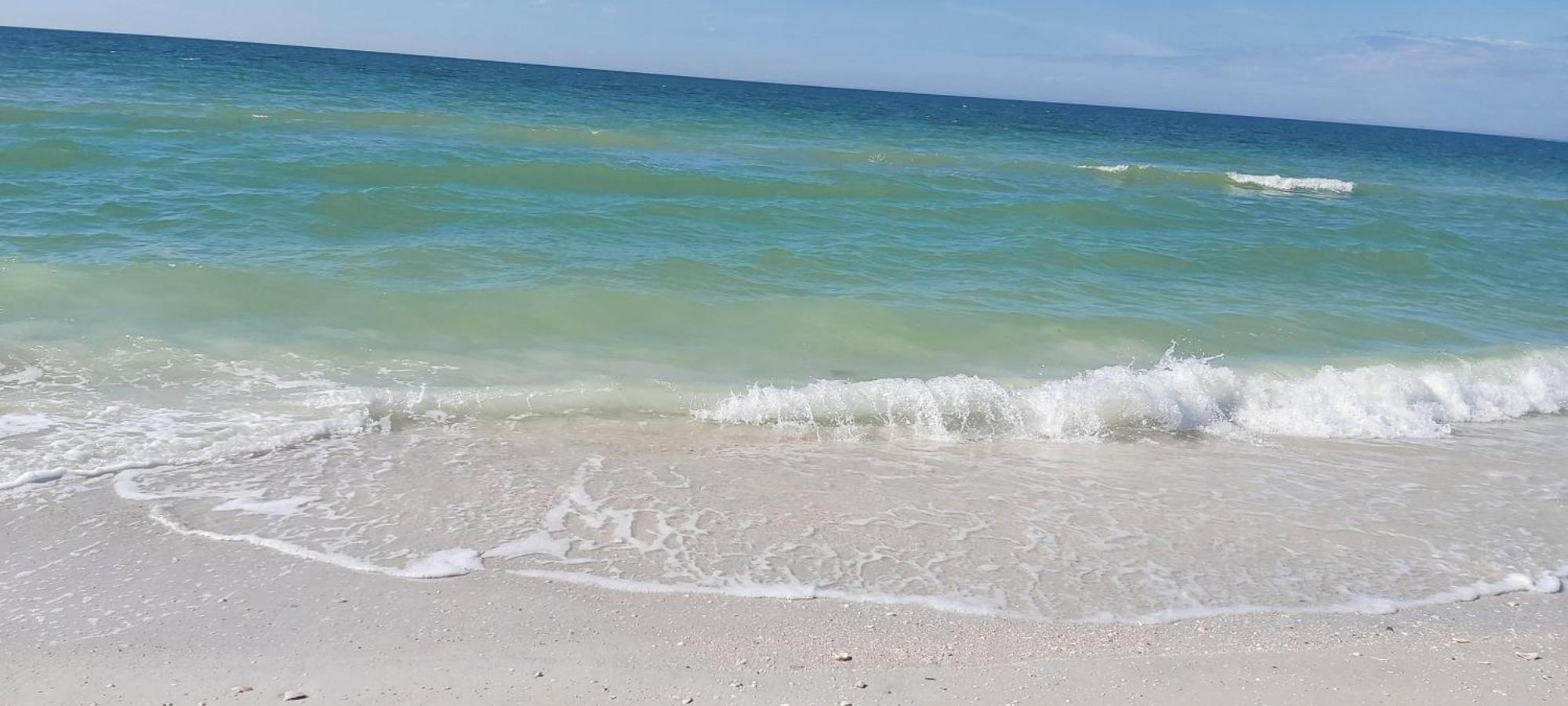 Barefoot On The Shores Ii Clearwater Beach