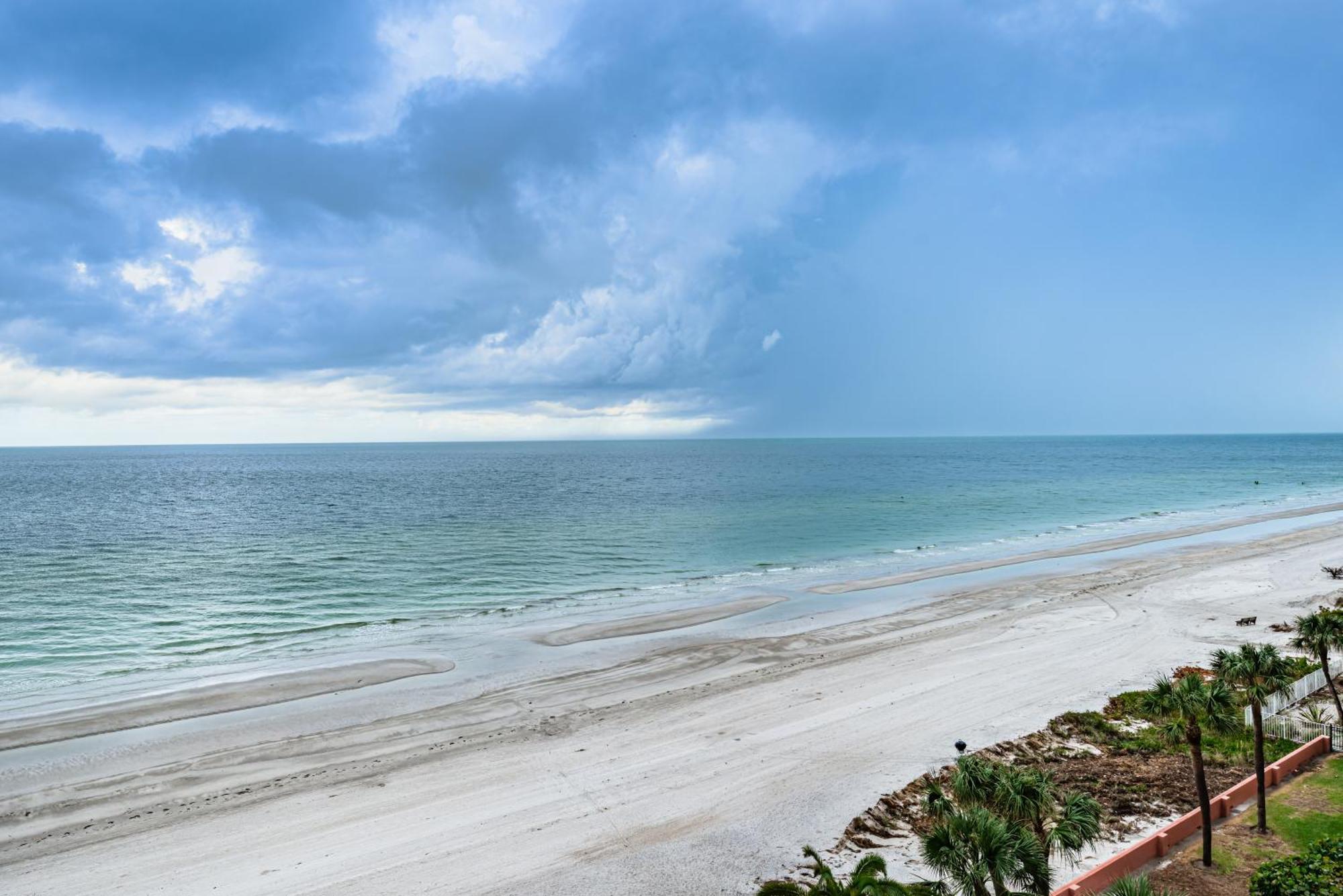 The Rose Clearwater Beach