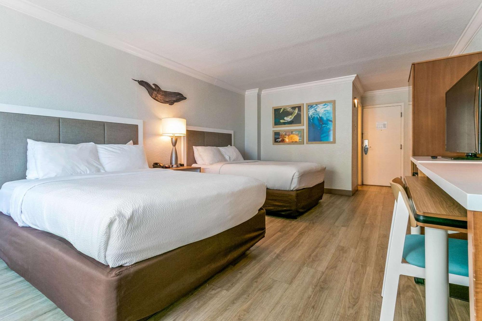 Hotel Dolphin Sands Clearwater Beach, Ascend Collection 3*