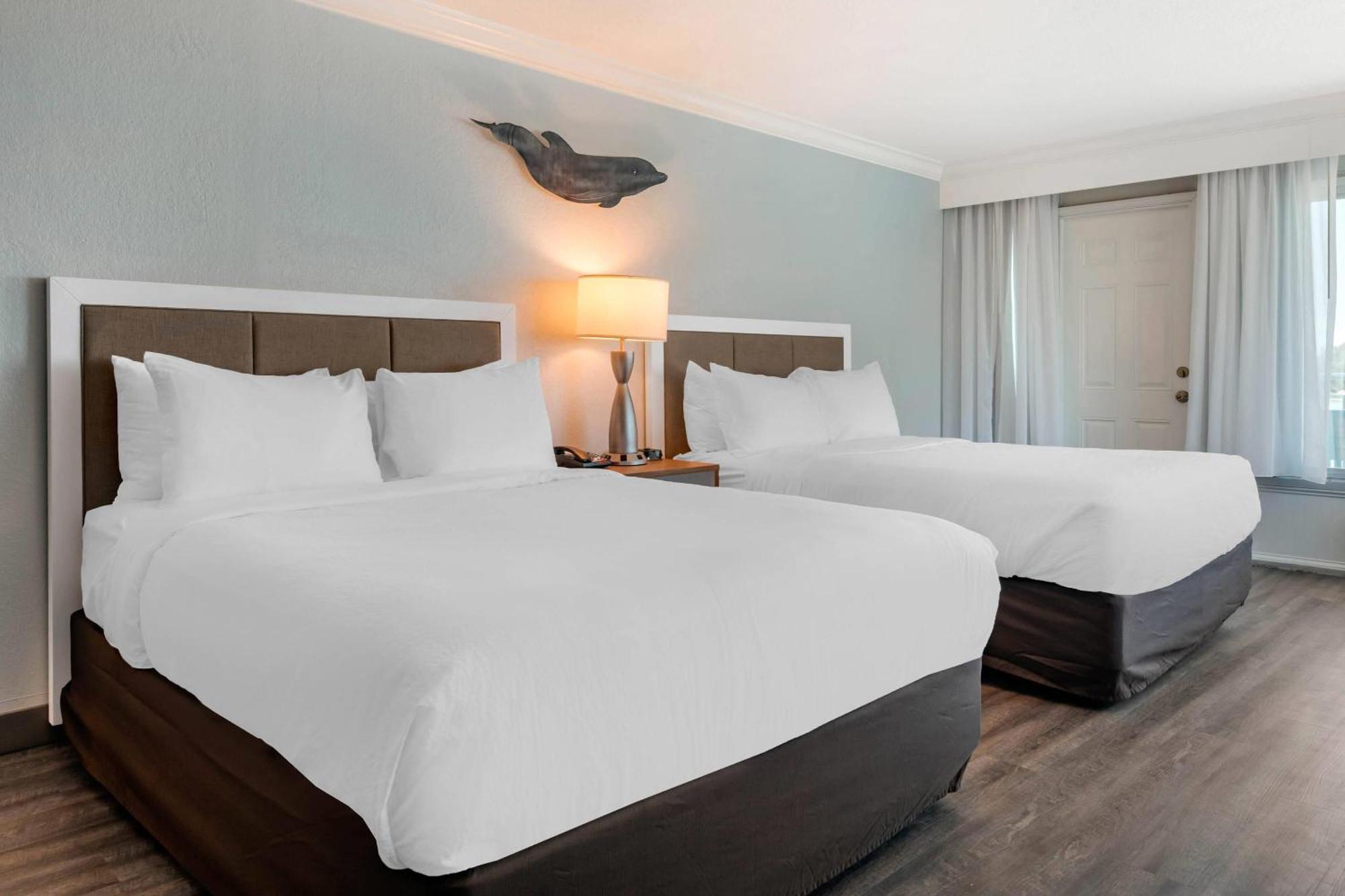 Dolphin Sands Clearwater Beach, Ascend Collection Hotel