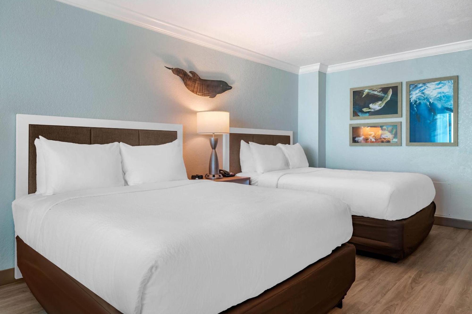 Dolphin Sands Clearwater Beach, Ascend Collection 3*