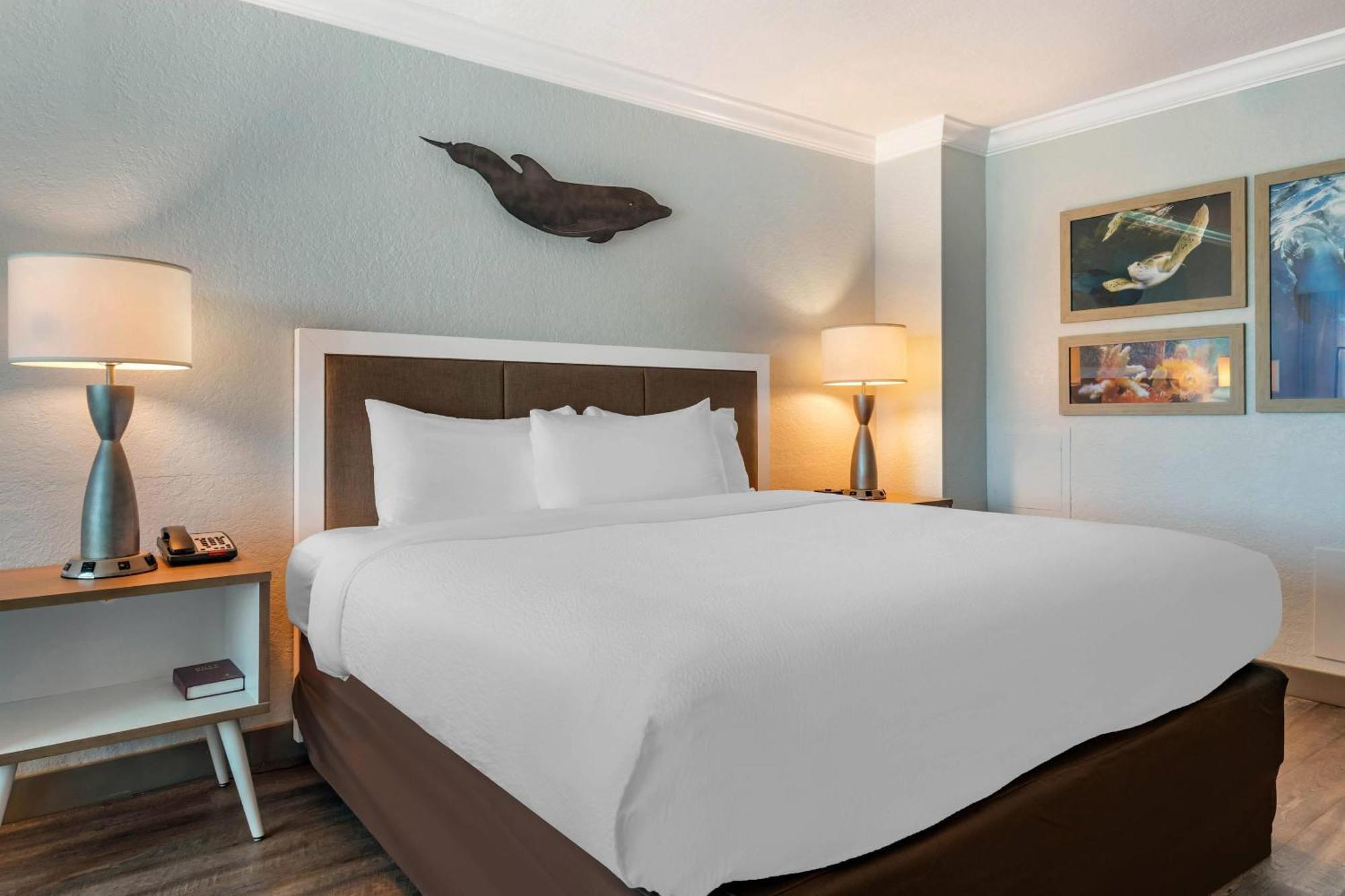 Dolphin Sands Clearwater Beach, Ascend Collection