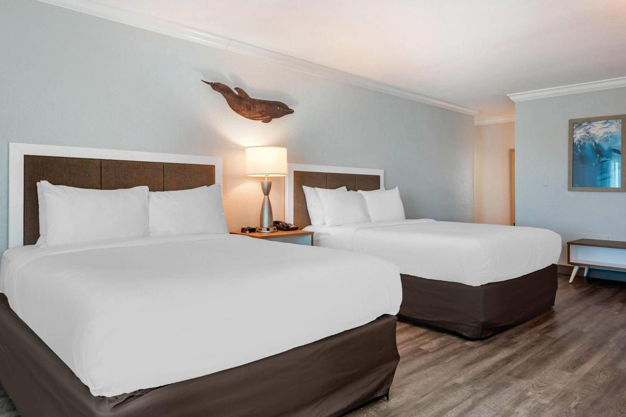 Dolphin Sands Clearwater Beach, Ascend Collection Clearwater Beach