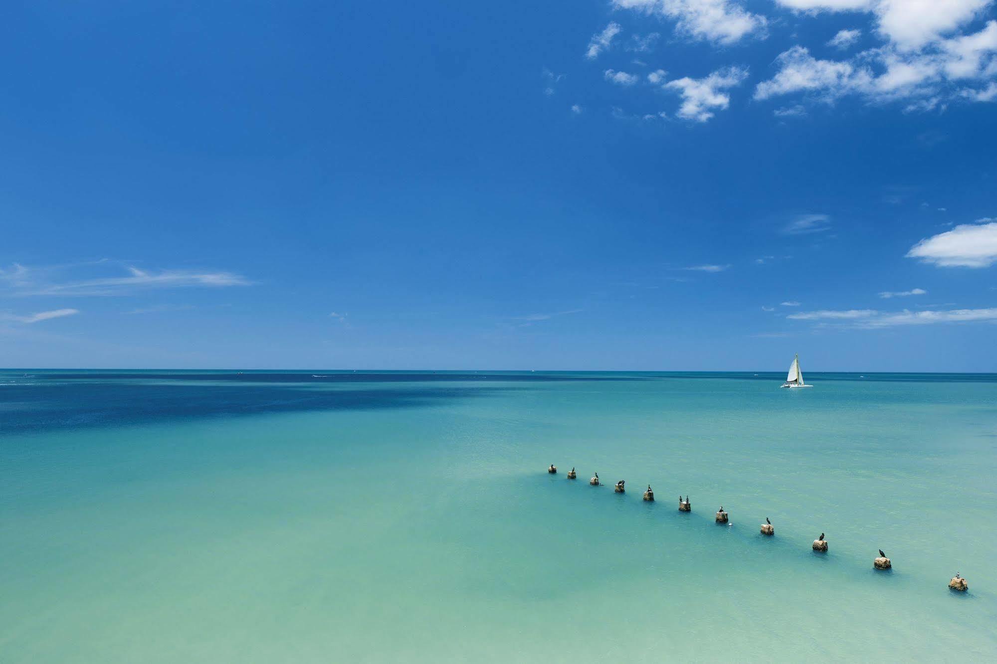 Opal Sands Clearwater Beach
