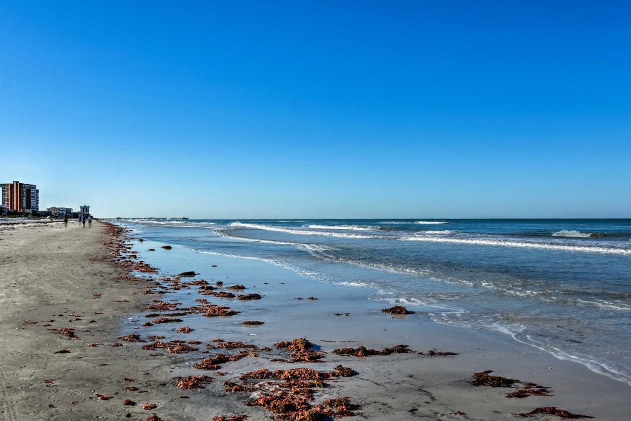 Apartment Indian Shores With Pool And Sunset View! Clearwater Beach